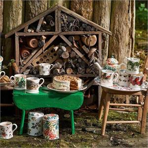 Emma Bridgewater Frog Half Pint Mug